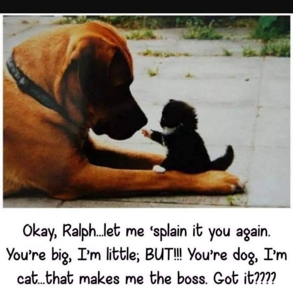 Meet your Posher, Joanie! - Picture 13 of 16